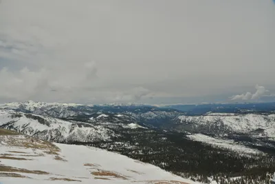 DSC_6689 (Large).JPG